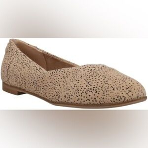 NWOT! Toms Jutti Flat - Leopard‎ Print